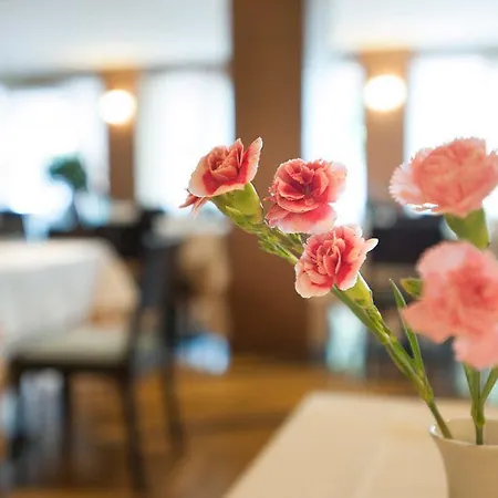 Calissano Апарт-отель Альба